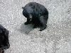 DSCN0332