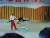 DSCN0334