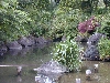 DSCN0344