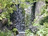 DSCN0345