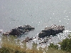 DSCN0368