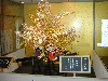 DSCN0379