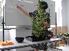 DSCN0382