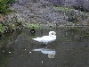 DSCN0405