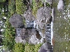 DSCNA0009