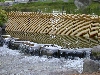 DSCNA0012