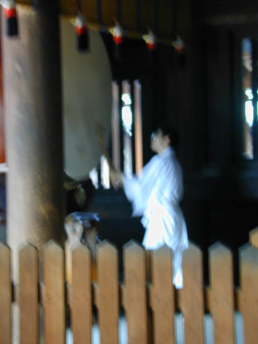 DSCN0015