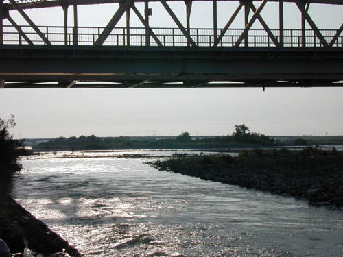 DSCN0146