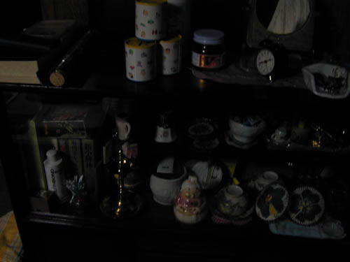 DSCN0153