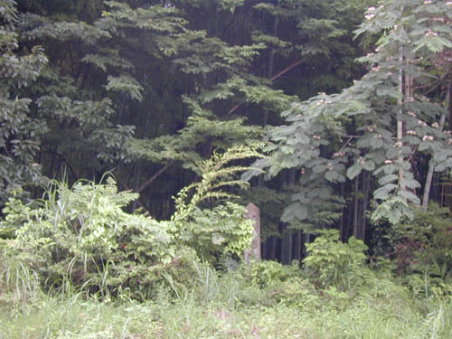 DSCN0196