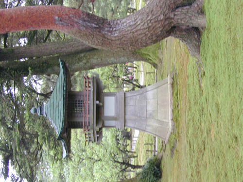 DSCN0228