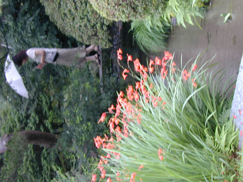 DSCN0229