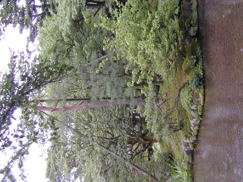 DSCN0231