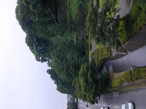 DSCN0239