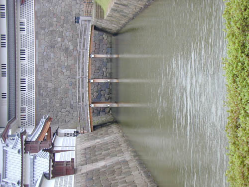 DSCN0241