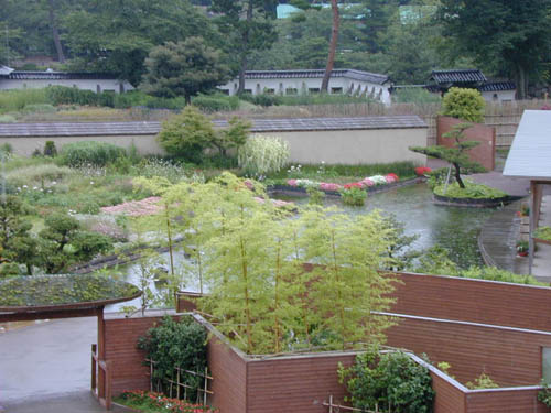 DSCN0244