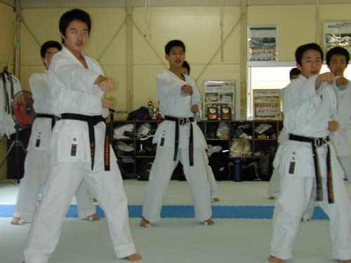DSCN0291