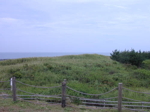 DSCN0298