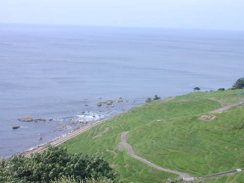 DSCN0314