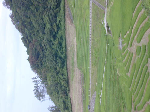 DSCN0315