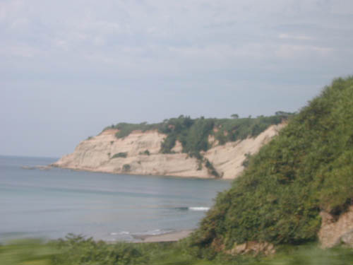 DSCN0317