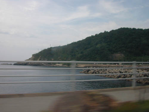 DSCN0321
