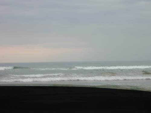 DSCN0324