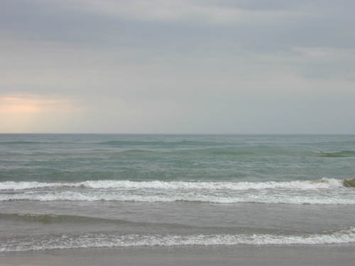 DSCN0325
