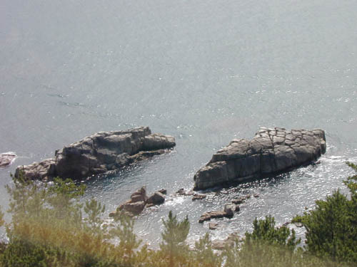 DSCN0368