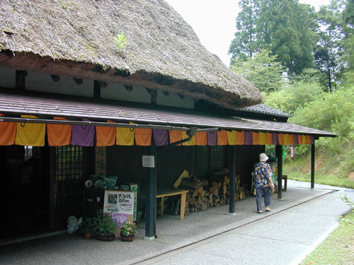 DSCN0400