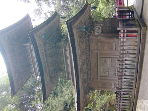 DSCN0407