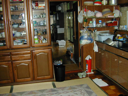 DSCN0411
