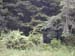 DSCN0196