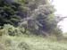 DSCN0197
