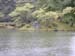 DSCN0225