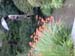 DSCN0229