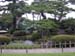 DSCN0235