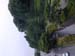 DSCN0239