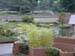 DSCN0244