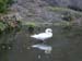 DSCN0405