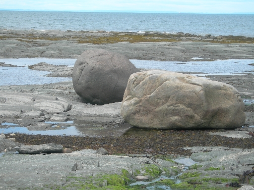 DSCN1685