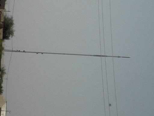 DVC00694