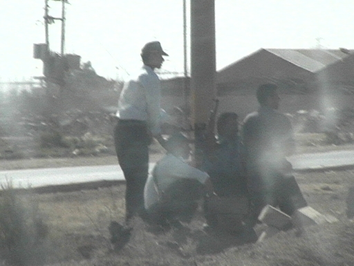 DVC00695