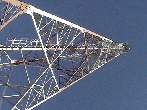 DVC00709