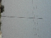 DVC00694