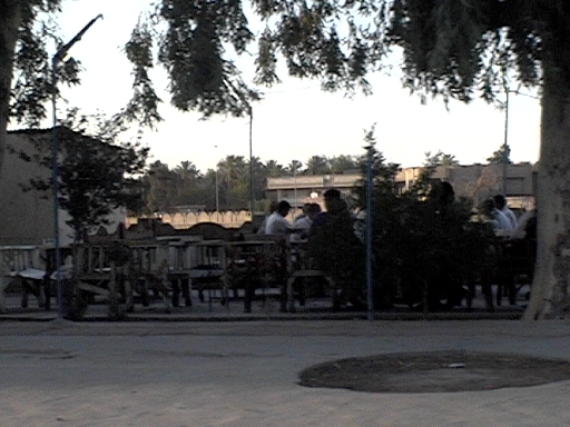 DVC00753