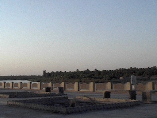 DVC00755