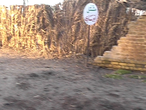 DVC00756