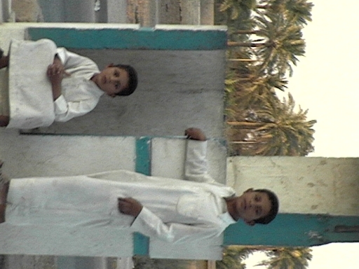 DVC00768
