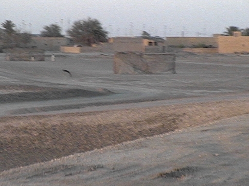 DVC00785